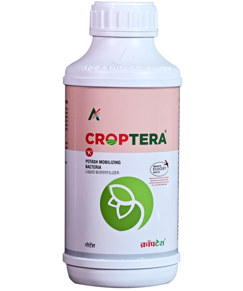 croptera K