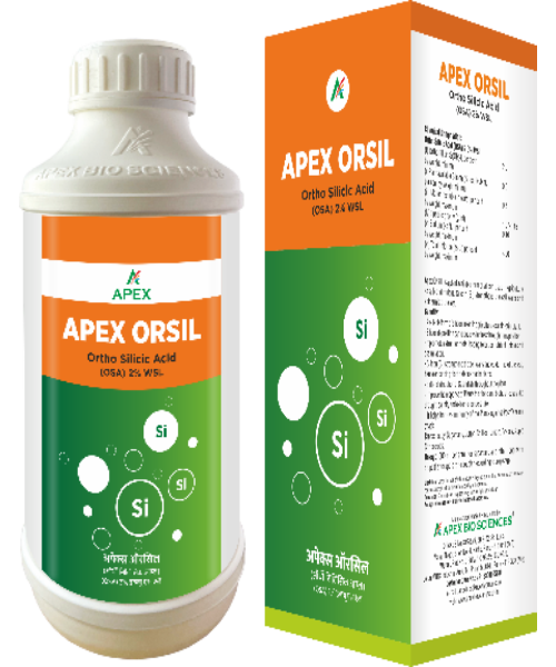 Apex Orsil